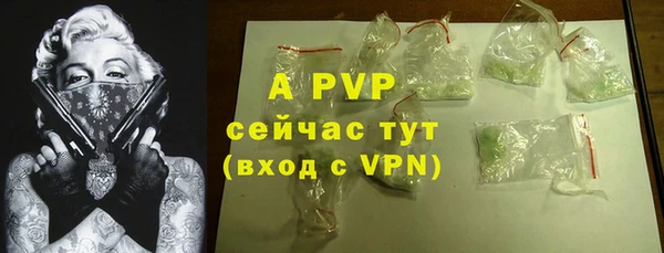 амф Вяземский