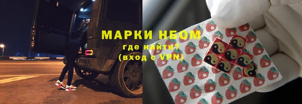 амф Вяземский