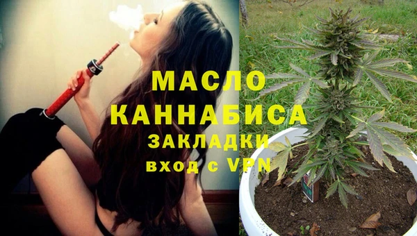 амф Вяземский