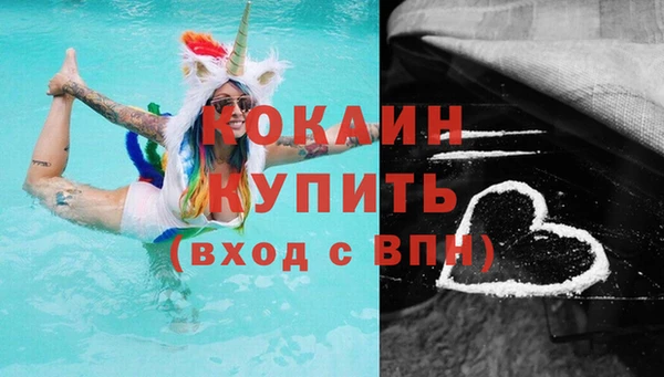 амф Вяземский